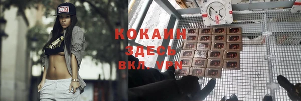 spice Аркадак