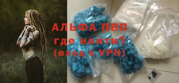 spice Аркадак