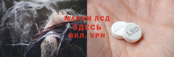 сатива Орск