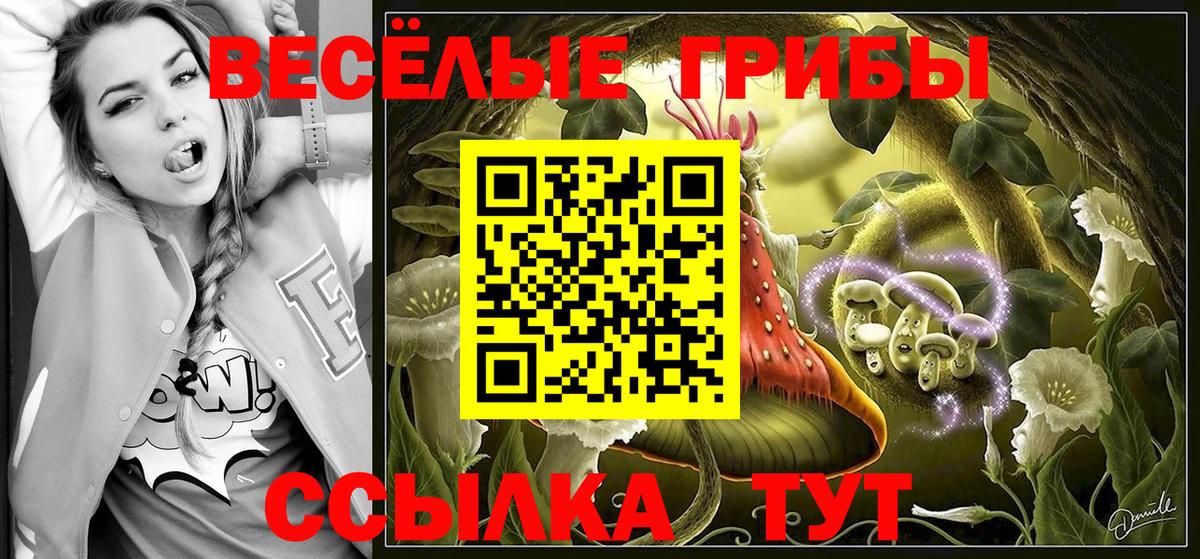 Белебей  Псилоцибиновые грибы Psilocybine cubensis  Вход с VPN 
